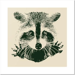 Cute Innocent Raccoon Posters and Art